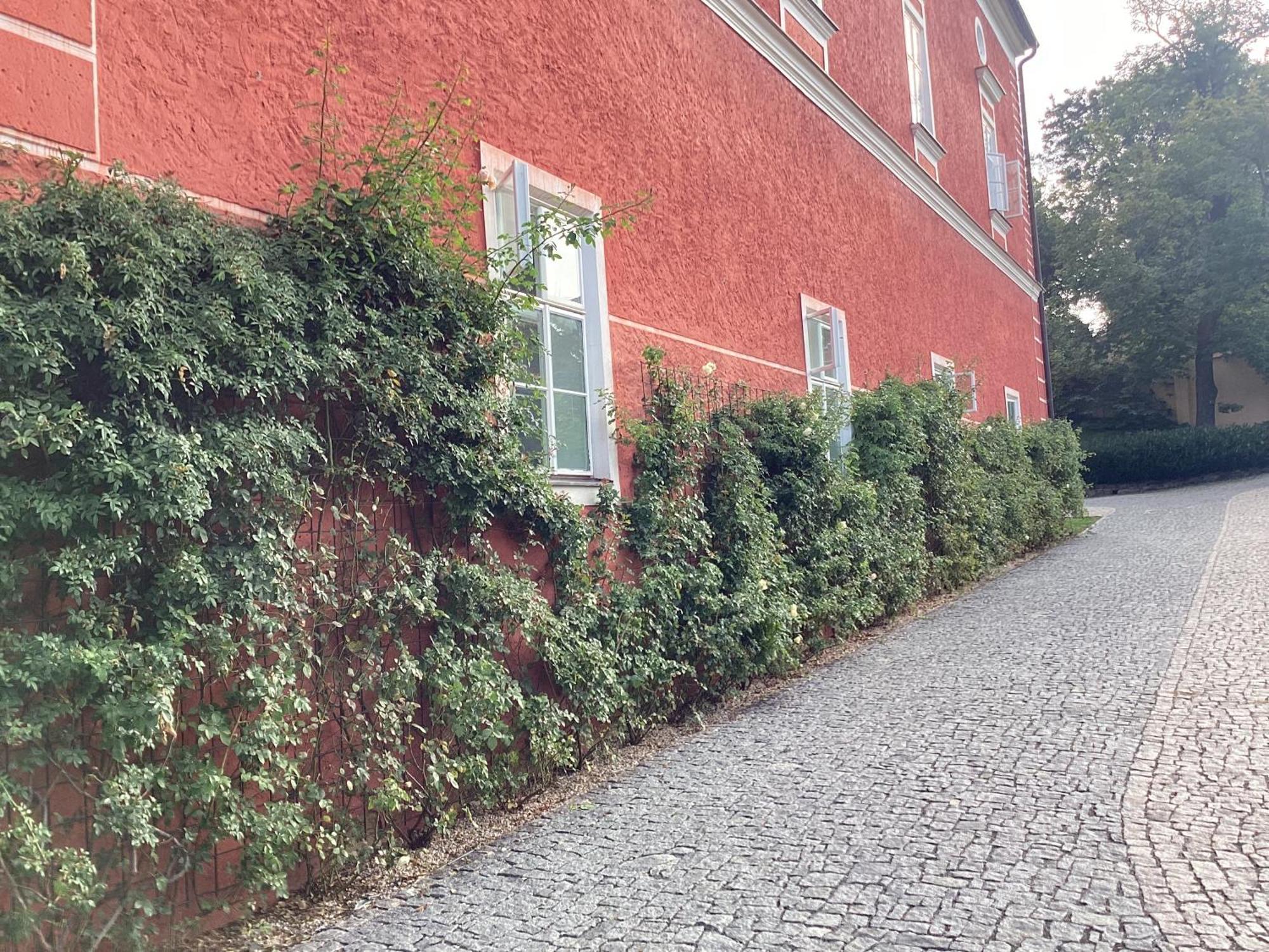 Antonio Residence Škvorec Exterior foto